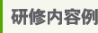 研修内容例